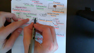 Anticoagulants and Thrombolytics Part 1 [upl. by Akinahs384]