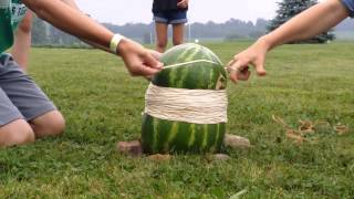 Watermelon400 rubber bands [upl. by Walrath]