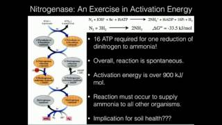 The Nitrogen Cycle and Nitrogenase [upl. by Llennod]