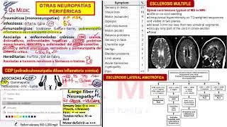 1 OTRAS NEUROPATÍAS PERIFÉRICAS [upl. by Eilrak473]