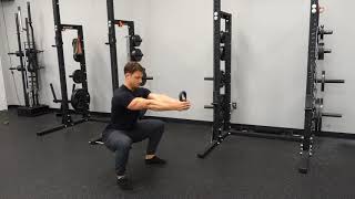 Counterbalance Squat [upl. by Hatfield]