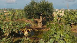 Royal Flora  Assassins Creed Origins  Papyri Puzzle [upl. by Akcira496]