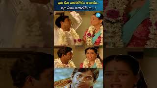 brahmanandam telugumovieclips jayalalita idreamhdmovies [upl. by Estelle963]