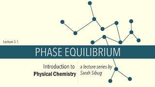 31 Phase Equilibrium [upl. by Sivartal641]