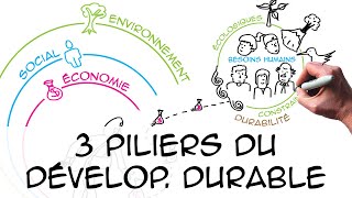 Les 3 piliers du développement durable regard scientifique [upl. by Lilyan]