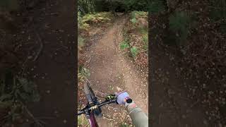 Blue View Glassie Bike Park MTB Trail Part 3 [upl. by Aubert872]