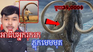 អាជីបអ្នករុករកភ្លុកមេមមតម្ដងបាន១០ម៉ីនដុល្លាតែមហាគ្រោះថ្នាក់ l Mrveasna [upl. by Aicenert897]