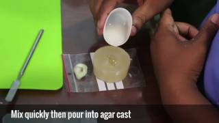 How to make Earmolds [upl. by Reggie]