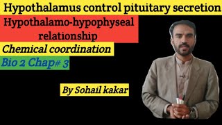 hypothalamus control pituitary secretion portal system hypothalamo hypophyseal relationsh [upl. by Noicpesnoc]