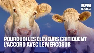 Pourquoi les éleveurs critiquent laccord avec le Mercosur [upl. by Cacia774]