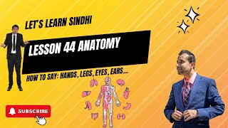 LEARN SINDHI  ANATOMY  quotPARTS OF BODYquot  LESSON 44  SHORT VIDEO [upl. by Lynnett803]