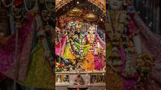 Manse bolo radhe radhe 🙏 ji 🙏🪷radhakrishna sorts [upl. by Jone]