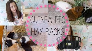 Hay Rack Options for Guinea Pigs [upl. by Magnusson701]