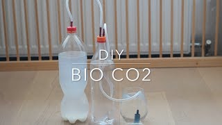 DIY Bio Co2 [upl. by Mahda]