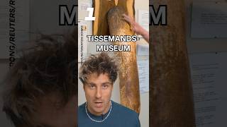 Verdens MÆRKELIGSTE museer ultranyt shorts [upl. by Doownel]