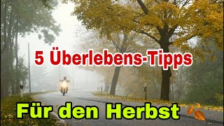 Sicher Motorrad fahren im Herbst 5 Tipps die dein Leben retten können 4K [upl. by Aihsakal]