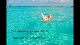 Chinesisches Horoskop 2019  Das Jahr des Erdschweins [upl. by Larson]