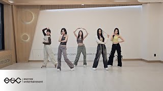 XIN 엑신 ‘MY IDOL’ DANCE PRACTICE [upl. by Nnylireg107]