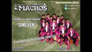 Banda Machos  Dime Ven [upl. by Htes]