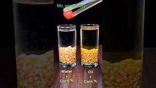 water corn vs oil corn Exprement videoexperiment video shorts [upl. by Amaj]