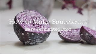 How to Make Sauerkraut  Easy Fermented Food  Healthy Gut [upl. by Carnes]