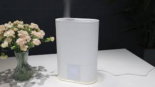 GO2360E Top Fill Cool Mist Humidifier [upl. by Natan]