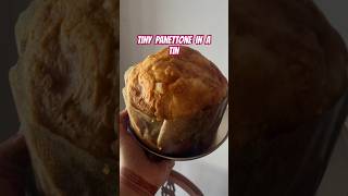 Panettone  Italian Christmas Cake or Sweet Bread  Milanese Style  shorts youtubeshorts [upl. by Rhonda]