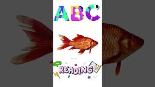 ABC WITH VIDEO SHORT F educationalvideosforchildren alphabet abcsong [upl. by Nanine941]