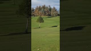 Lochgelly Golf Course Fife Scotland  a quick mooch around [upl. by Cuhp686]