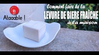 Comment faire de la Levure de Bière Fraîche à la maison [upl. by Gael]