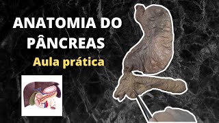 Anatomia do Pâncreas [upl. by Ahsaetal949]