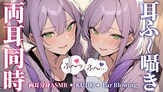 【ASMRKU100】分身した２人が両耳同時に耳ふーで寝かしつけ♡Ear blowing in both ears【沙汰ナキア睡眠導入】 [upl. by Acisset114]