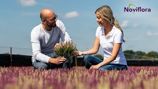 Tyska trädgårdsblommor  Bart amp Jeanette  Vlog 04  SE [upl. by Denten]