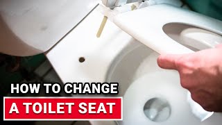 How To Change A Toilet Seat  Ace Hardware [upl. by Gilda]