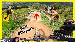 Best Bikepark EVER  Wiriehorn Weryhorny Trail😱💯  GoPro 11 [upl. by Aniret474]