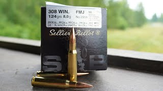 Sellier amp Bellot 308 WIN 124gr FMJ Accuracy Test [upl. by Deron]