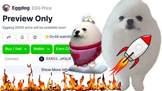 EGGDOG 🔥 READY TO EXPLODE TO 100M MC 🚀 NEXT 100X SOLANA MEME COIN IS HERE 🔥 EGG [upl. by Ellenhoj]