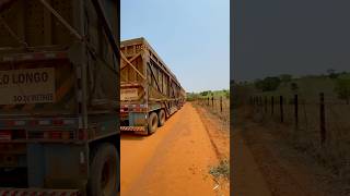 PNEU ESTOUROU NA ESTRADA😓 brasil agro truck [upl. by Nuahsor]