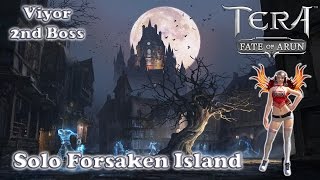 Tera  Solo Forsaken Island NM  Viyor 2nd Boss  Brawler Lomitall 275 [upl. by Oicnoel]