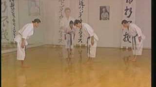 Kata Bunkai 1  Bassai Dai [upl. by Orutra745]