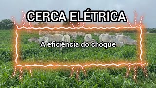 CERCA ELÉTRICA A eficiência do choque [upl. by Anwadal]