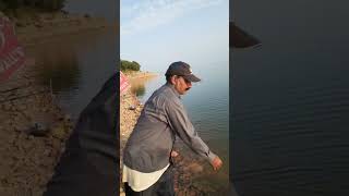 Fishing Videos  Best Fish catching Techniques  Fish catching Videos  Big Rohu Fishing Techniques [upl. by Simson]