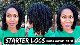 Starter Locs w Two Strand Twists  Naturally Michy [upl. by Dunaville919]