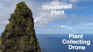 Watch This Drone Collect Extremely Rare Plants in Crazy Dangerous Locations [upl. by Jeffrey908]