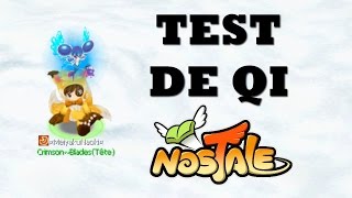 Testez votre intelligence en 10 questions avec Nostale  Test de QI [upl. by Aihsenad]