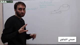 quotالأنسجة المستثارةquot 1 كامن راحة غشاء الخلية Resting Membrane Potential [upl. by Mahon]