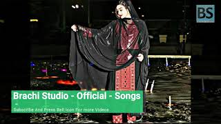 New Irani Remix Lyrics 2021  Alim jan Songs  Irani Song  Omani Balochi [upl. by Antin]