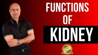 Functions of Kidneys  Physiology and Structure  Dr Najeeb [upl. by Eiramadnil716]