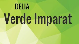 Delia  Verde Imparat VersuriLyrics [upl. by Eemyaj]