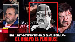 How El Mayo Betrayed the Sinaloa Cartel in Sinaloa—El Chapo is FURIOUS [upl. by Newbill]